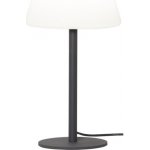 Star trading Venkovní dekorační lampa GARDENLIGHT – Hledejceny.cz