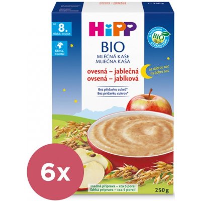 Hipp Bio Mléčná kaše na dobrou noc ovesná-jablečná 6 x 250g – Zboží Mobilmania