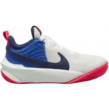 Nike boty Team Hustle D 10 (Gs) CW6735 103 šedá