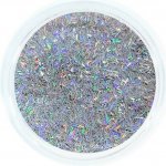 Aglia SILVER STRIP HOLOGRAM glitry na nehty 2 g – Hledejceny.cz