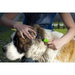 JK ANIMALS Profesionální prořezávač 10 nožů T 18 cm – Zbozi.Blesk.cz