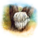 MycoMedica hericium tinktura 50 ml – Hledejceny.cz