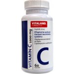 Vitaland Vitamin C 600 mg 60 kapslí – Zboží Mobilmania