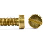 Šroub válcová hl. drážka mosaz, DIN 84 - M5x35 – Zboží Mobilmania