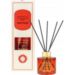 Aroma Home aroma difuzér & Dorota Ledový čaj 100 ml – Hledejceny.cz