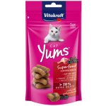 Vitakraft Cat Yums Superfood kachna bezinka 40 g – Sleviste.cz