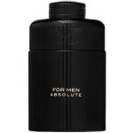 Bentley Absolute parfémovaná voda pánská 100 ml – Zboží Mobilmania