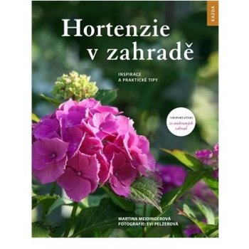 Hortenzie v zahradě