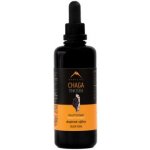 Hrotlife Chaga tinktura 100 ml – Hledejceny.cz