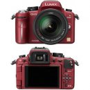 Panasonic Lumix DMC-GH1