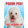 Autovýbava Grel Tabulka pozor pes pudl bílý