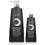 Bes Color Reflection Shampoo Artic Grey 300 ml – Hledejceny.cz