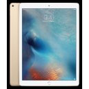 Apple iPad Pro Wi-Fi 32GB ML0H2FD/A