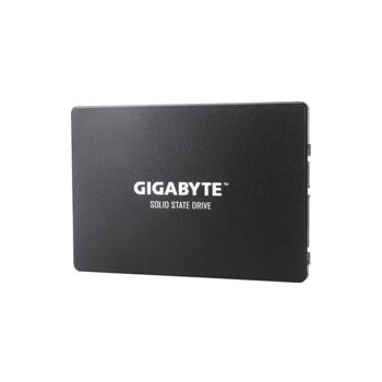 Gigabyte 1TB, GP-GSTFS31100TNTD