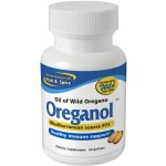 North American Herb & Spice Oreganové kapsle P73 Original Strength 120 kapslí – Hledejceny.cz