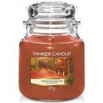 Yankee Candle Classic Woodland Road Trip 411 g – Zboží Dáma