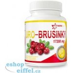 Uro Brusinky 60 tablet – Hledejceny.cz