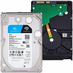 Seagate SkyHawk AI 10 TB, ST10000VE001 – Hledejceny.cz