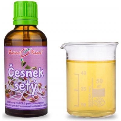 Bylinné kapky Česnek setý kapky Duše rostlin tinktura z česneku 50 ml – Hledejceny.cz