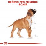 Royal Canin Boxer Puppy 12 kg – Hledejceny.cz