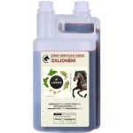 LEROS Leros Sirup Nervinae Horse 1 l – Hledejceny.cz