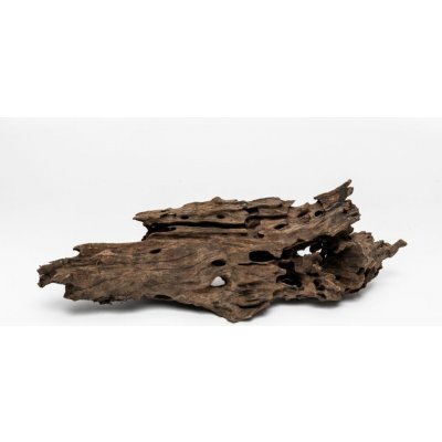 Rataj Mangrove Wood 0,5-0,8 kg – Hledejceny.cz