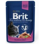 Brit Premium Cat with Salmon & Trout 100 g – Hledejceny.cz