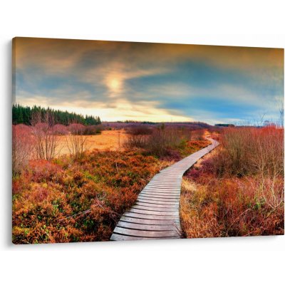Obraz - Podzimní cesta krajinou, jednodílný 100x70 cm – Hledejceny.cz
