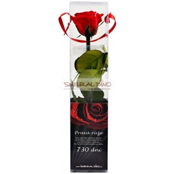 Stabilizovaná růže balená MINI - Red