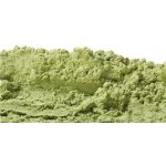 Botanic Mladá pšenice 100 g – Hledejceny.cz