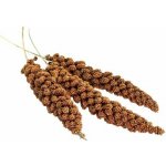 Avicentra Burské oříšky 10 kg – Zboží Mobilmania