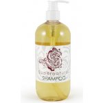 Dodo Juice Supernatural Super Concentrated Detailing Shampoo 500 ml – Hledejceny.cz