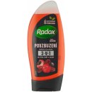 Radox Men Feel Powerful 2in1 sprchový gel 250 ml