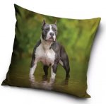 Carbotex pes pitbull 40 x 40 cm – Zboží Mobilmania