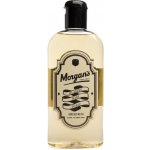Morgan's Spiced Rum vlasové tonikum 250 ml – Hledejceny.cz