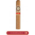 Perdomo 20th Anniversary Connecticut Epicure – Sleviste.cz