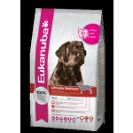 Eukanuba Labrador Retriever 2,5 kg – Hledejceny.cz