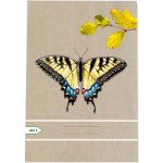 Papírny Brno školní sešit EKO 465 A4 čtverečkovaný – Zboží Mobilmania