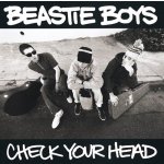 Beastie Boys - Check Your Head CD – Hledejceny.cz