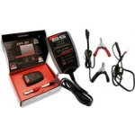 Bs-Battery AUTOMATIC 6/12V 1000mA – Zboží Mobilmania