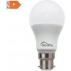 Žárovka Diolamp SMD LED žárovka matná A60 10W/230V/B22/6000K/840Lm/180°