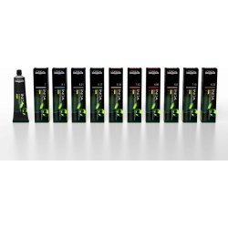 L'Oréal Inoa 2 Parties 10.12 60 g