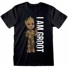Guardians of the Galaxy I am Groot