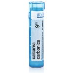 CALCAREA CARBONICA POR 9CH GRA 1X4G – Hledejceny.cz