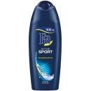 Sprchový gel Fa Active Sport Gingko sprchový gel 250 ml