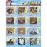 Naše chránené vtáky. Stručný prehľad - Príroda – Hledejceny.cz