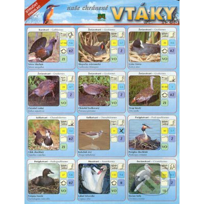 Naše chránené vtáky. Stručný prehľad - Príroda – Hledejceny.cz