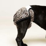 Lou and Co. Hárací kalhotky Leopard Small – Sleviste.cz