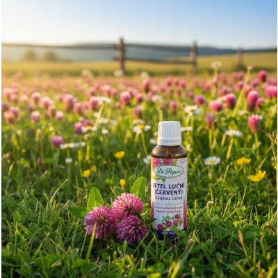 Dr. Popov Jetel červený originální bylinné kapky 50 ml – Hledejceny.cz
