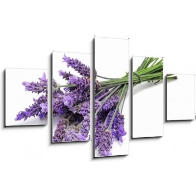 Obraz pětidílný 5D - 125 x 70 cm - lavender levandule – Zbozi.Blesk.cz